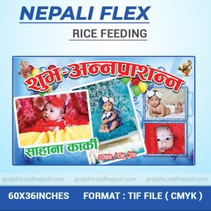 FN : 607 Rice Feeding