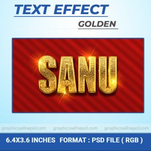 FN : 4028 Golden Text Effect