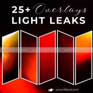 FN : 1242 Light Leaks