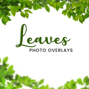 FN : 5326 Leaves Photo Overlays