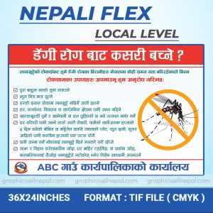 FN : 4172 Dengue Awareness Poster