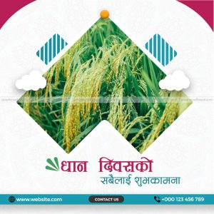 FN : 15084 Dhan Diwas